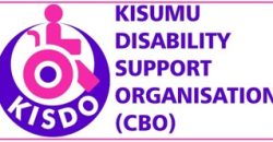 kisdo kisdo