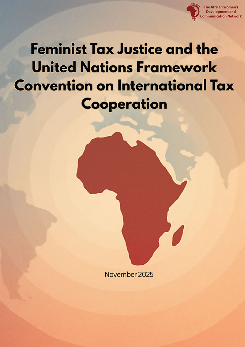 Feminist Tax Justice and the United Nations Framework Convention on International Tax Cooperation