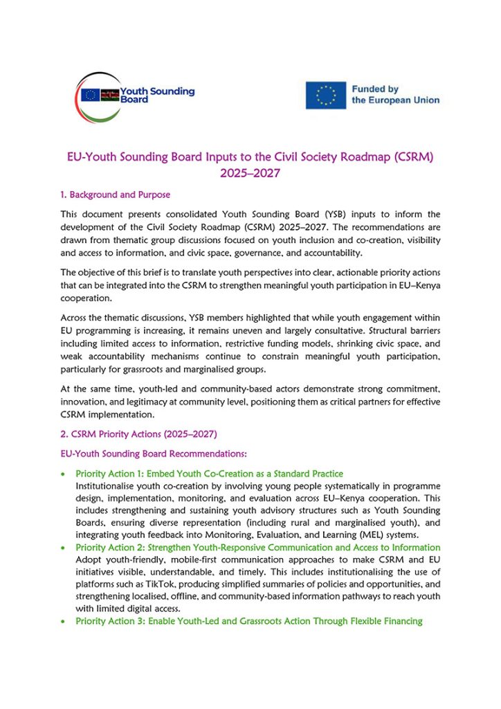 EU-Youth Sounding Board Inputs to the Civil Society Roadmap (CSRM) 2025–2027